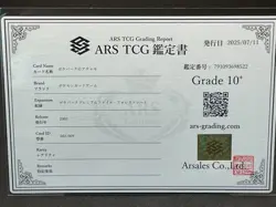 ARS10+ Pokemon Japanese Premium Forest File PokePark's Torchic 002/009 - Image 3