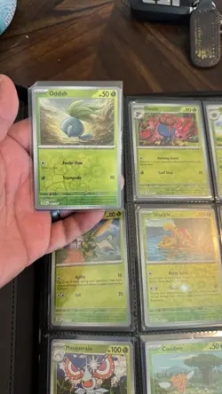 Pokemon Obsidian Flames Complete Master Set with R/H Common and Promos. NM - Image 2