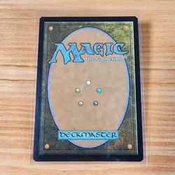 MTG - Forest basic land OTJ 0276 Foil Full Art 2024 - Image 2