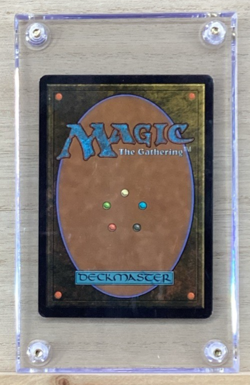 MTG Card - Terravore Odyssey - Image 2