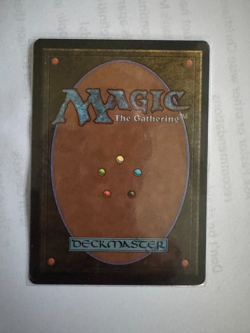 MTG - Oasis - Arabian Nights - NM - Land Uncommon - Image 2