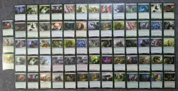 Magic The Gathering MTG 1000 Plus cards lot kit (read description) - Image 4
