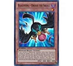 Yugioh - Blackwing - Oroshi the Squall (Super Rare) (1st Edition) - DRLG-EN027 P - Image 1