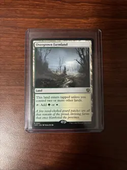 Overgrown Farmland INR NM MTG - Image 1
