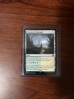 Overgrown Farmland INR NM MTG - Image 3