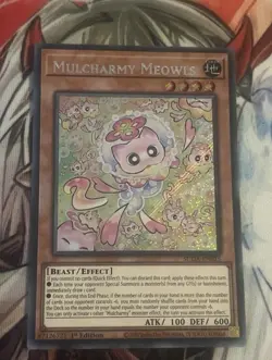 SUDA-EN025 Mulcharmy Meowls Secret Rare 1st Ed YuGiOh - Image 1