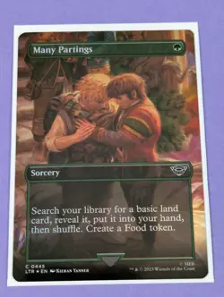 MTG: The Lord of the Rings: Many Partings Borderless Foil #0445 Common - NM - Image 1