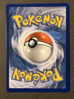 Pokemon TCG Mega-Pidgeot-EX Evolutions Holo Holo Rare Card 65/108 - Image 2