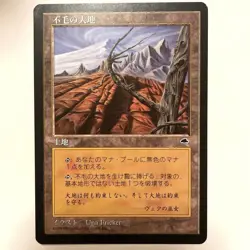 MTG Magic The Gathering Wasteland Una Fricker Japanese - Image 1