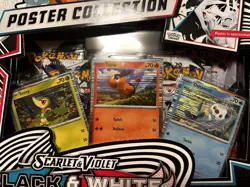 SEALED LOT OF 2 POKEMON TCG S&V 10.5 BLACK BOLT & WHITE FLARE POSTER COLLECTION - Image 5