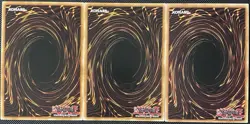 Soul Binding Gate BROL-EN022 Brothers of Legend 1st Edition (x3) Yugioh Card - Image 2