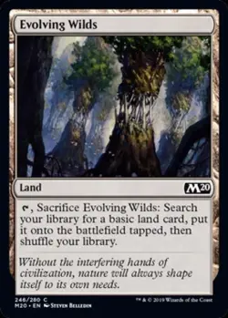 *FOIL* EVOLVING WILDS NM M20 mtg Land *FOIL* - Image 1