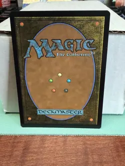 Mtg Lord Of The Rings Lorien Revealed Showcase Scrolls - Image 2