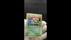 2 Set Venusaur Dragonite GB Game Boy Promo Holo MP Japanese Pokemon Card #4 - Image 2