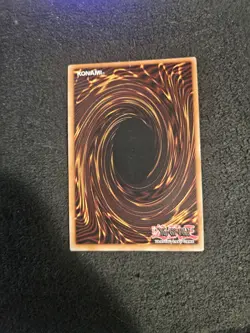 Yugioh Dark Paladin DMG-001 Secret Rare Limited Edition VLP - Image 2