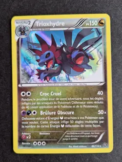 Hydreigon Holo 86/114 XY Offensive Steam Pokemon Card French - Image 1