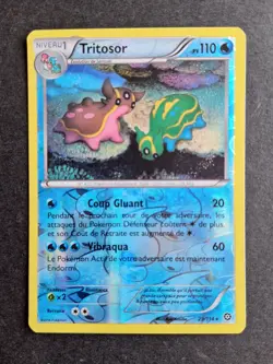 Tritosor REVERSE 29/114 XY Offensive Steam Pokemon Card French - Image 1