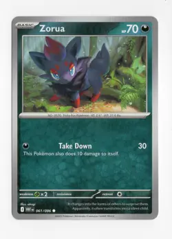POKEMON Zorua 61/086 | Near Mint | SV: White Flare Pokemon TCG REGULAR COMMON NM - Image 1