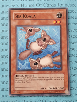PTDN-EN037 Sea Koala Yu-Gi-Oh Card Unl - Image 1
