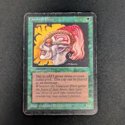 MTG \>> Llanowar Elves (PL) <<// Alpha - 341 Trading - Magic - Image 1