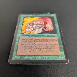 MTG \>> Llanowar Elves (PL) <<// Alpha - 341 Trading - Magic - Image 3