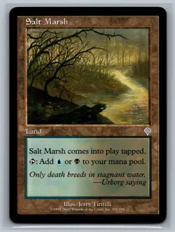 Magic The Gathering Invasion Salt Marsh #326/350 MTG TCG CCG - Image 1