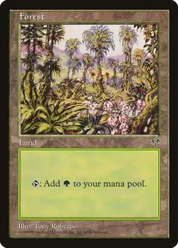 MTG Mirage --- FOREST (v1) --- Common! HP! Magic the Gathering! - Image 3