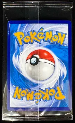 Pokemon PTCG S-Chinese 2024 Sword&Shield Flareon Vmax HR CSHC-003 HOLO Sealed - Image 3