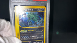 PSA 10 Tyranitar 1st Ed Expedition 127/128 Holo Gem Mint Japanese Pokemon e Card - Image 2