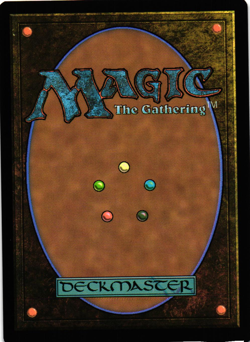 MTG Bloomburrow Sunspine Lynx Rare NM - Image 2