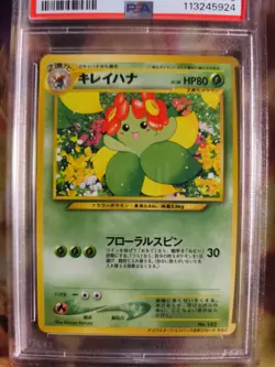 Pokemon Card Japanese Blubella Bellossom Information magazine promo 2001 PSA 9 - Image 3
