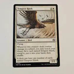 Tempest Hawk NM Tarkir Dragonstorm 31 LP MTG Magic the Gathering - Image 1