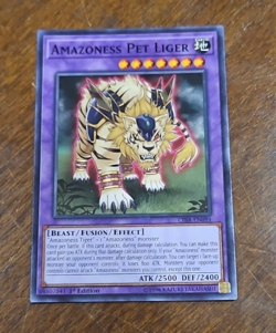Amazoness Pet Liger - CIBR-EN094 - Common 1st Edition Yugioh - Image 1