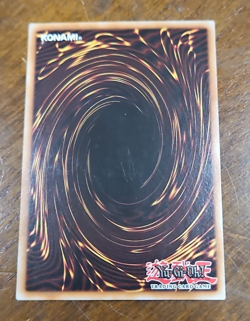 Amazoness Pet Liger - CIBR-EN094 - Common 1st Edition Yugioh - Image 3