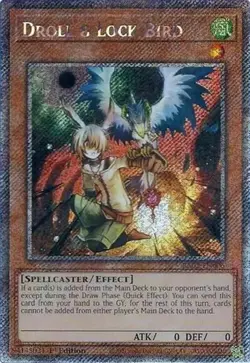 Droll & Lock Bird (Platinum Secr 25th Anniversary Rarity Collection II NM YuGiOh - Image 1