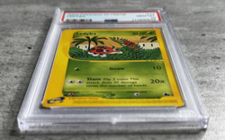 Pokemon Card Ledyba PSA 10 Gem Mint, e-Reader Skyridge #73, WOTC 2003 - Image 3