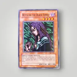 Witch of The Black Forest - SDCK-EN024 Common Yugioh Card - Image 1