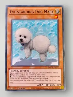 Yugioh - Outstanding Dog Mary - BODE-EN035 - Common - 1st Edition - Image 1