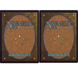 2x Basic Lands (Plains 250/254 & Mountain 253/254) - MTG Theros Beyond Death NM - Image 2