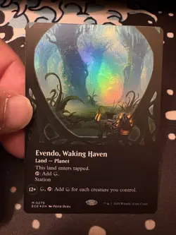x1 Evendo, Waking Haven - Foil - Borderless M MTG Edge of Eternities M/NM, Engli - Image 1