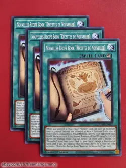 Yugioh Nouvelles Deck Core Set 9 card DUAD Chef De Angry Burger Recipe Book - Image 4