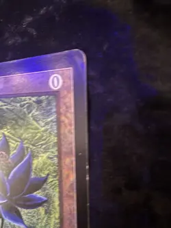 Big Black Lotus - Oversized Promo - MTG Magic the Gathering - Image 5