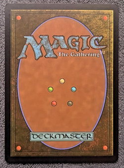 MTG Aettir and Priwen (253) | NM | Final Fantasy (FIN) - Image 2