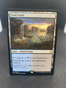 MTG Fetid Pools Amonkhet NM/Regular English - Image 1
