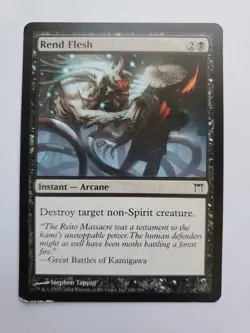 MTG Magic The Gathering Card Rend Flesh Instant Arcane Black Champions Of Kamiga - Image 1