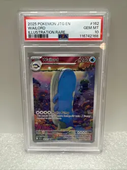 2025 POKEMON JTG EN-JOURNEY TOGETHER ILLUSTRATION RARE #162 WAILORD PSA 10 - Image 1