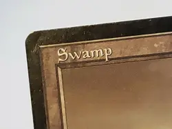 MTG Swamp (Tempest) Anthologies Regular Land Magic - Image 3