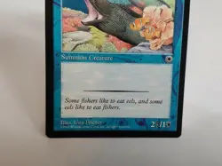 MTG Coral Eel Portal Regular Common Magic - Image 3