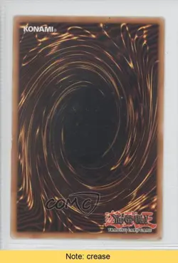 Amazoness Chain Master (Sneak Peak) YuGiOh Miscellaneous Promo #SP1-EN002 0a1 - Image 2