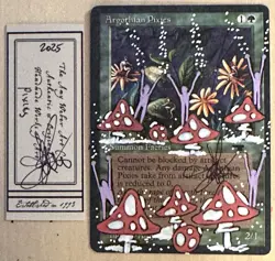 MTG Argothian Pixies Alter Altered Sketch Art Amy WEBER Magic - Image 1